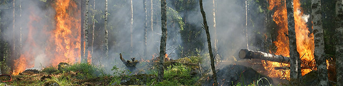 Drones against fire