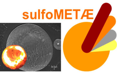 SULFOMETÆ