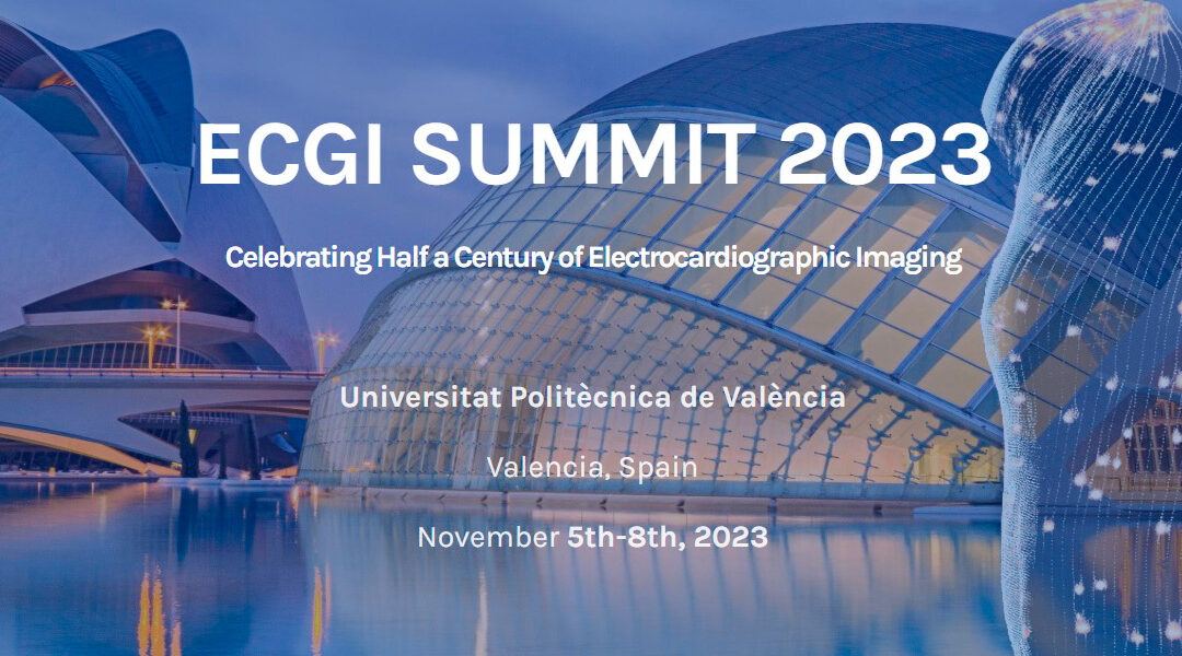 Electrocardiographic Imaging Summit 2023