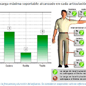 Software for the ergonomic evaluation of jobs (Ergonautas-Toolbox)