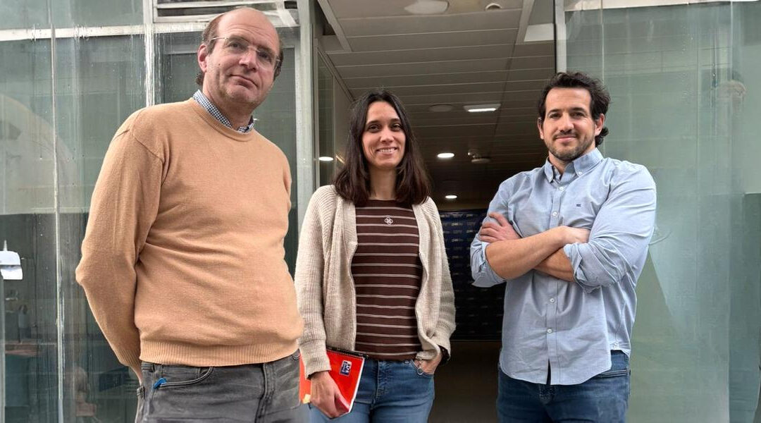 ITACA-UPV leads an international study assessing the impact of artificial intelligence in Neonatal Intensive Care Units