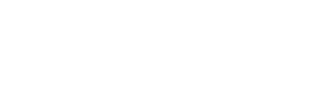 volBrain: Automated MRI Brain volumetry system | ITACA Institute