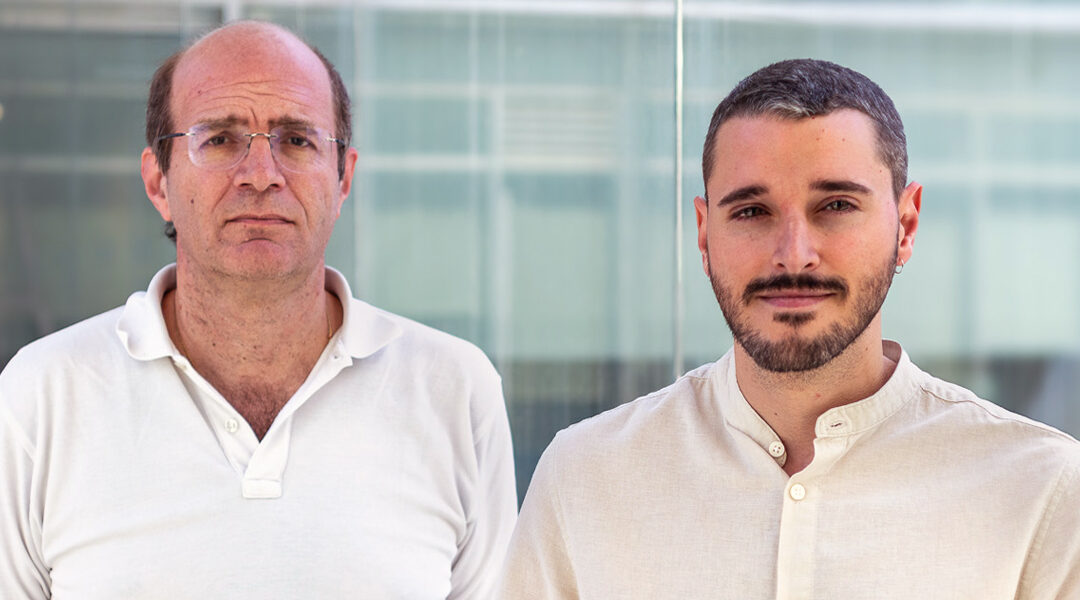 ITACA-UPV researchers develop a tool to identify which medicines may have the greatest impact on driving